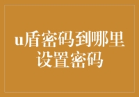 U盾密码设置攻略：教你如何在重重困难中找到正确打开方式