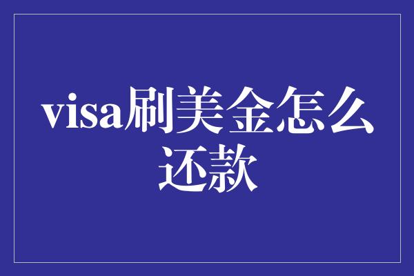 visa刷美金怎么还款