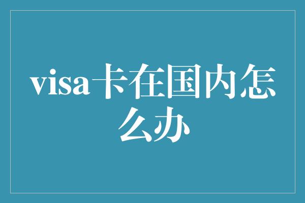 visa卡在国内怎么办